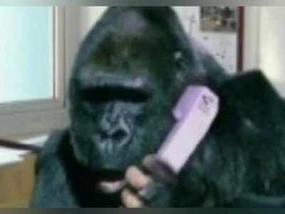 I don't have any context 