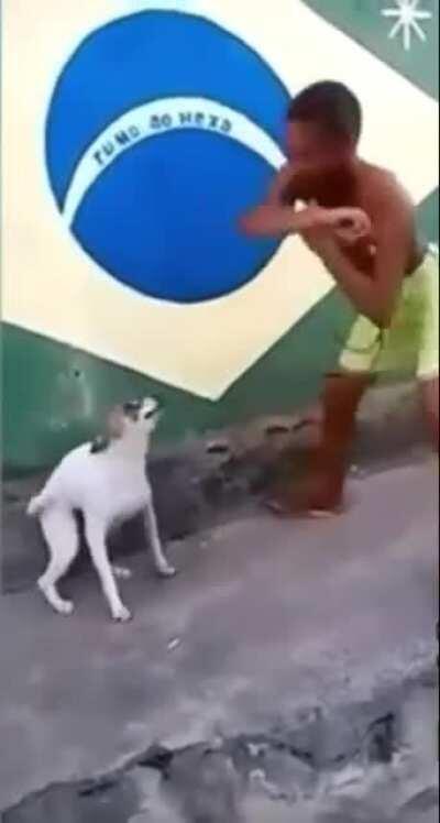 emote: paws and barks