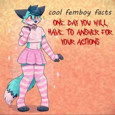 Cool femboy facts 