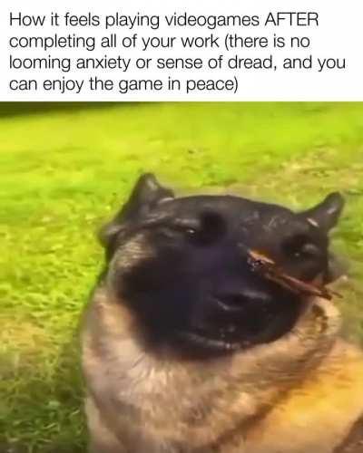 Put the phone down, let’s get it done! 