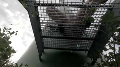 Würdest du unter oder auf der Treppe sein