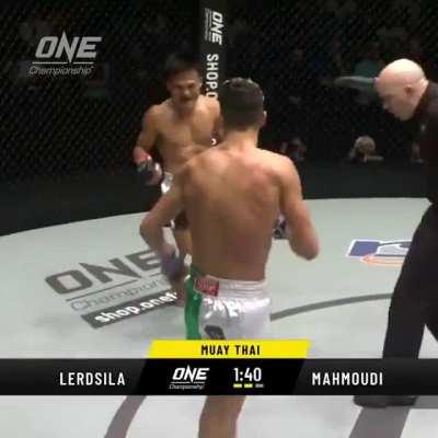 stopped to appreciate the duck