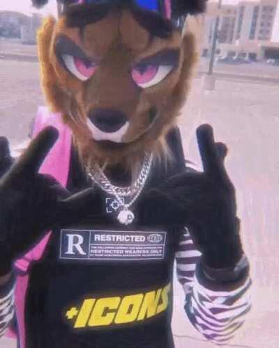 every eboy model ever