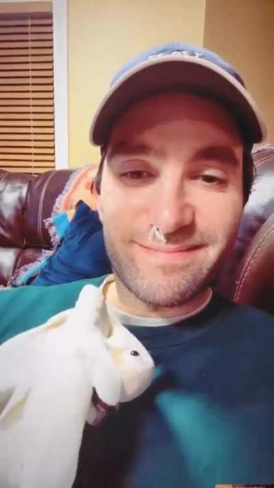 The pet trying to suffocate me