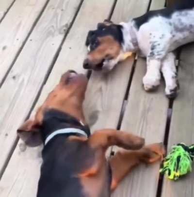 The laziest fight ever