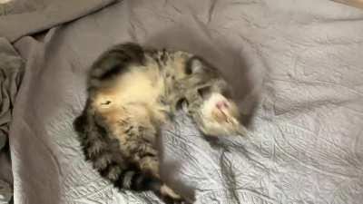 Every single time...