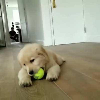 Marley sliding into your feed to make you smile ❤️