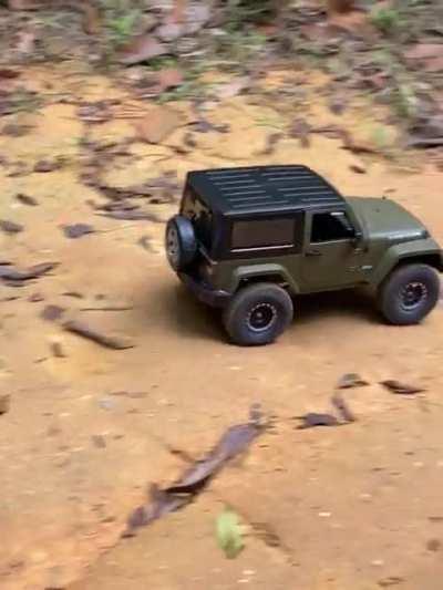 All Terrain AWD Vehicles 🚗 🚙 🚘 cruising thru MacRitchie Forest.