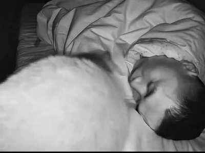 Every morning at 5am