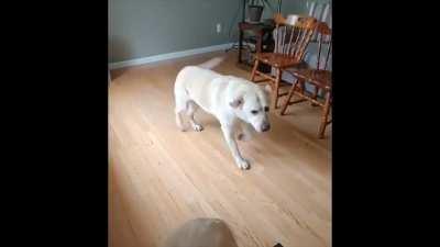 Inspired by a post from yesterday