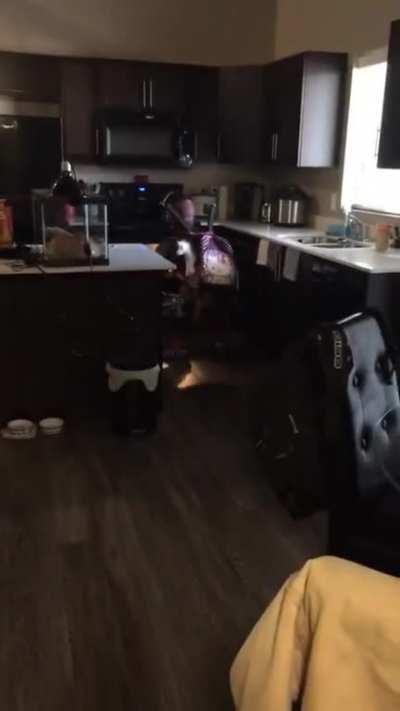 Praying to the pizza gods