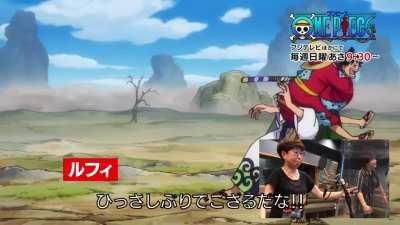 Zoro and Luffy switch voices
