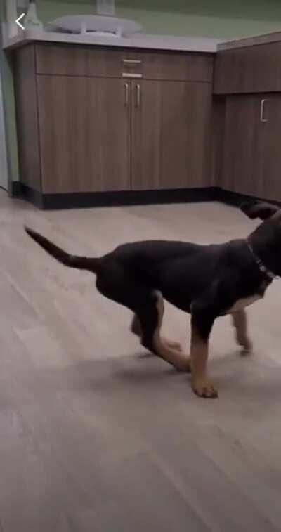 Look at my happy happy guy!