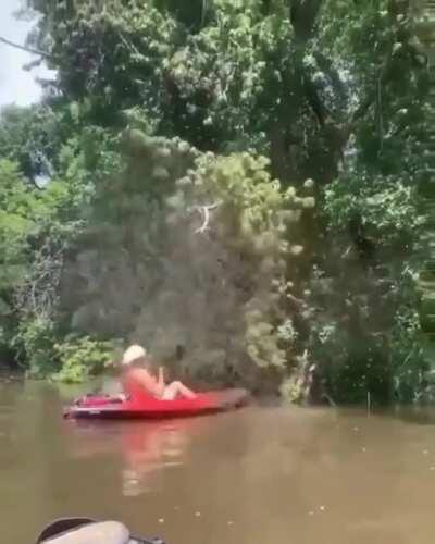 SLPT: Enhance your relaxing kayak experience by tapping on nearby branches.
