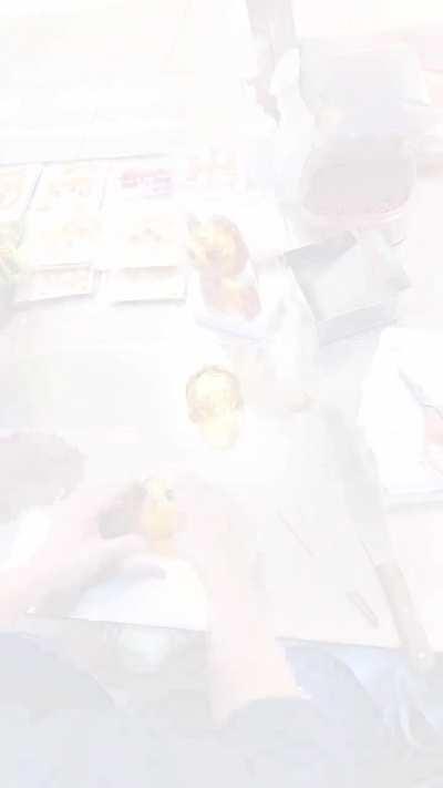 Making a cat out of candy