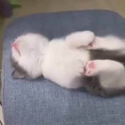 He sleeps like this all the time...why?