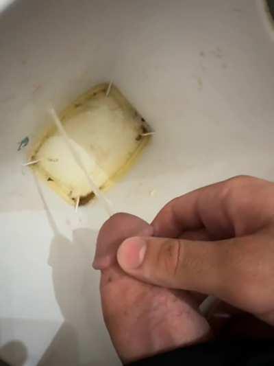 sorry for not posting in a few days! long trashcan pee to make up for it :)