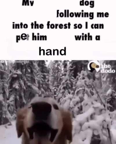 dog 👍 (shamefully stolen from r/whenthe)