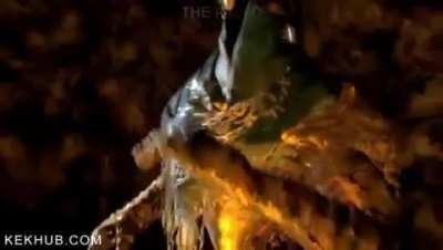 Thanks, I hate seeing a twerking wolf...