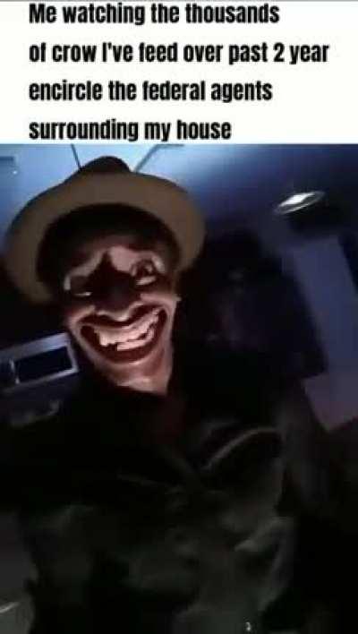 The Crow Whisperer and his Flying Army