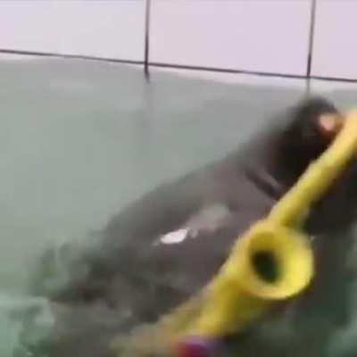 I made this clip a while back and it fits so well 😂