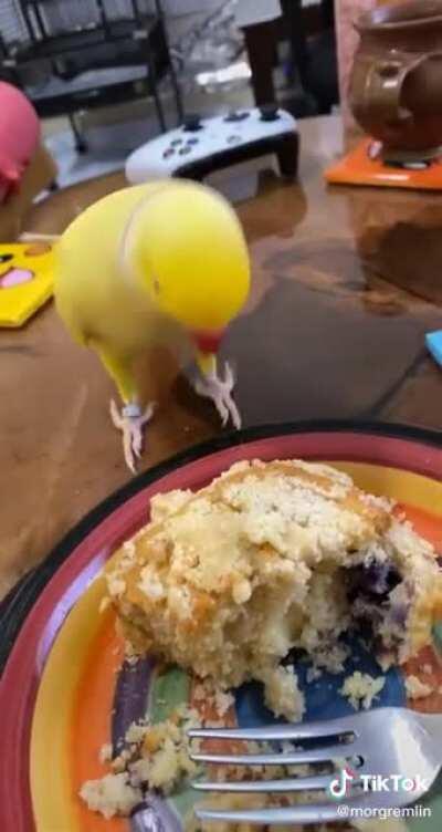 WiggleBirb