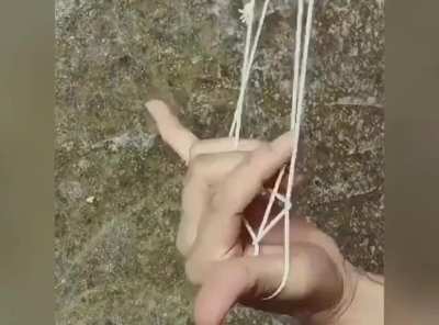 Fellow 90’s kids our language is the same 