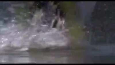 When monks reach level 9