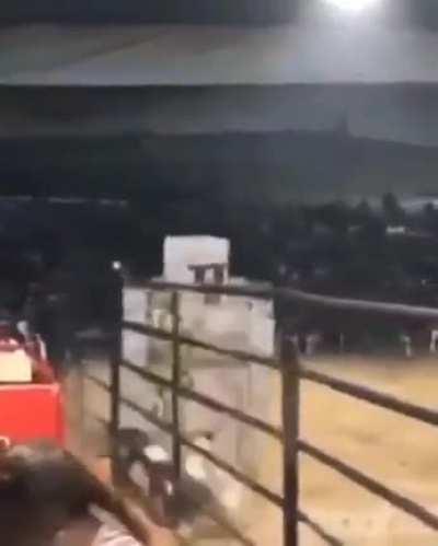 Shouldent of hit the golem