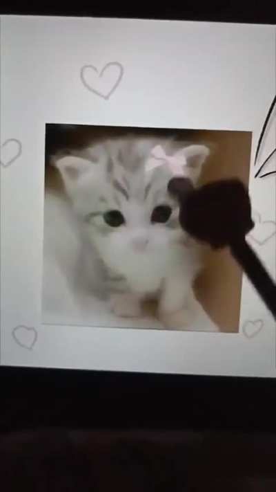 YOU are the wunk, explain yourself 😠