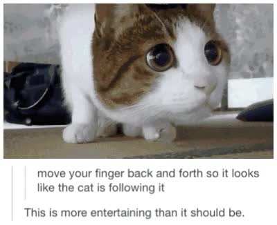 His ass is INTERACTIVE 🗣️🗣️🔥🔥