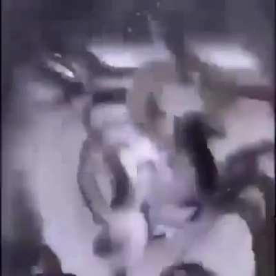 the eel does not like salt. they get mad. see their reaction to the salt