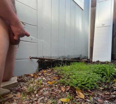 (28) Morning spray in the backyard😉