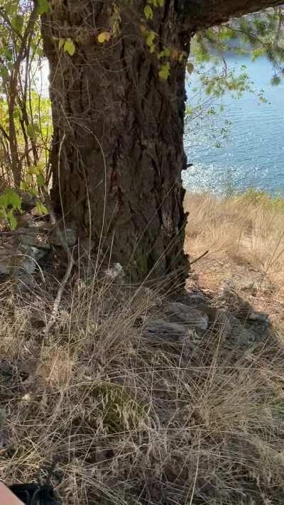 had a little too much fun hiking yesterday 😈 link in comments to see what happened next! enjoy your day 💞