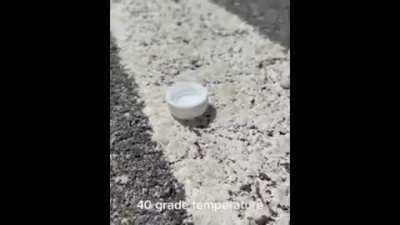 Young Thirsty Sparrow receiving a Helping Hand