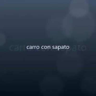 carro con sapato