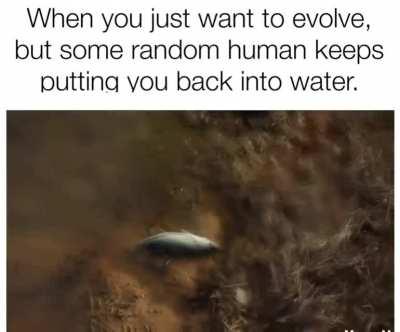 This human main is preventing a fish main from evolving. Some human mains ugh