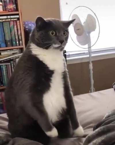 MRW I try to learn a TikTok dance........