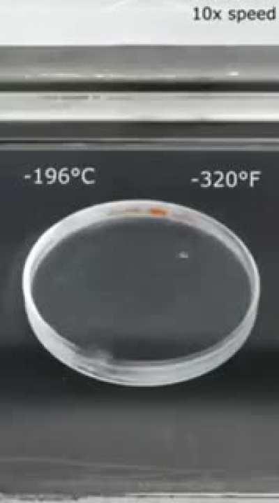 idk if this has been posted here before but it was too funny not to share