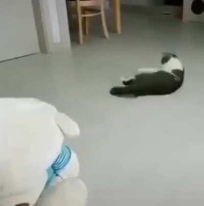 A purroboros spotted in the refined wild.