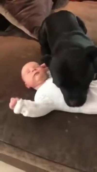 I love you, lil’ hooman.