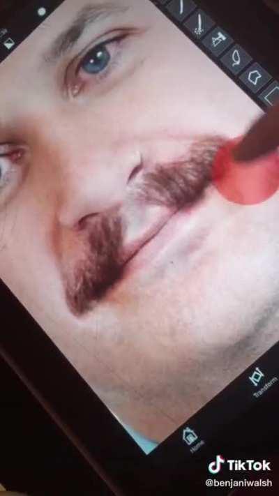 Leo Varadkar | Post Malone Mashup