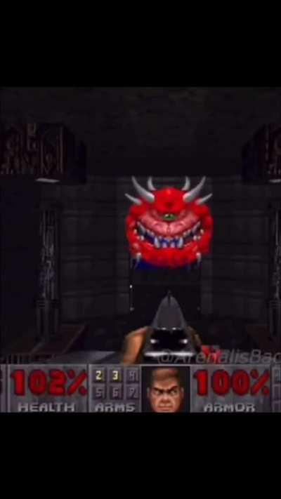 Downloaded the wrong doom.