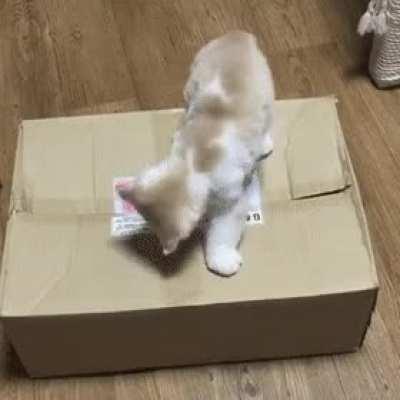 He needs a little help