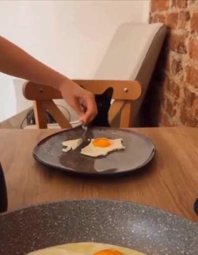 Proper table manners