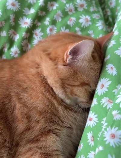 Don't talk to me, I want to sleep 😴 