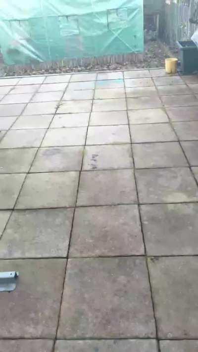 Citric acid crystals growing for 8 months in my basement.... So anyway