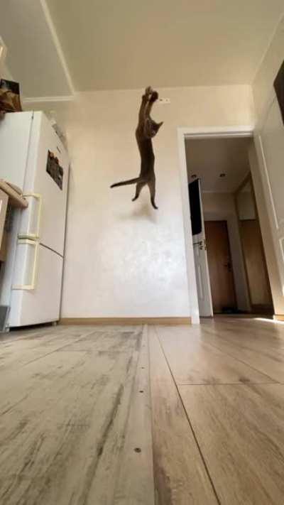 Грациозность