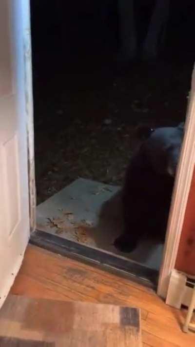 Bear closes front door of a House