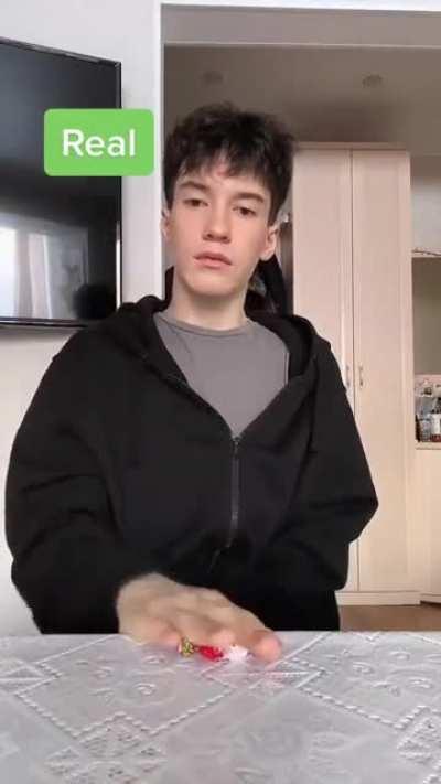 fake food or real food?